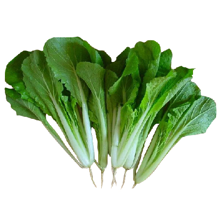 Chinese fast cabbage